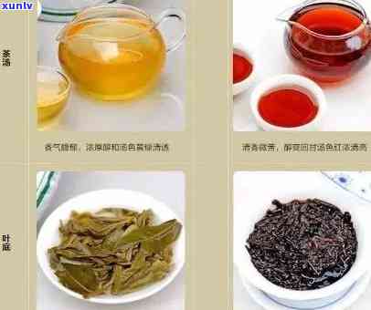 普洱茶：红茶还是绿茶？探讨普洱茶的分类及其特点