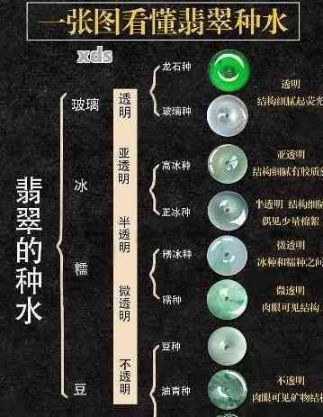 从种子到玉镯：全面了解种植与制作过程的详尽指南