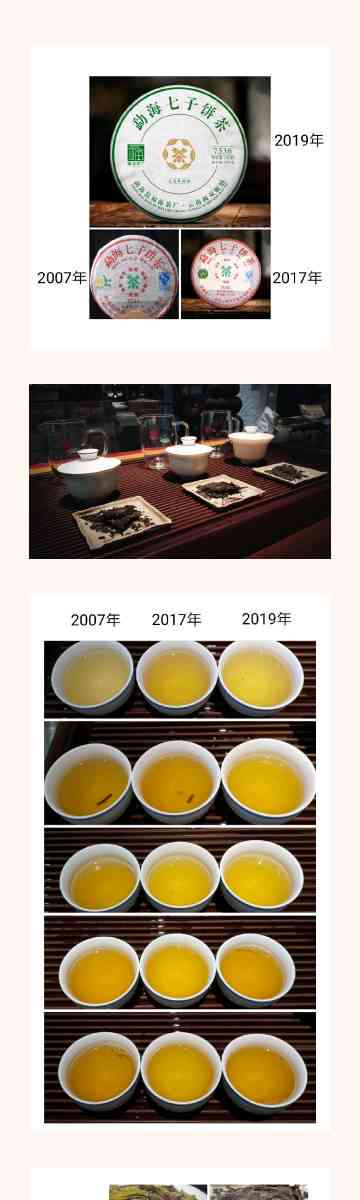 福海普洱茶7536:品种特点、制作工艺、品饮方法与收藏价值全方位解析