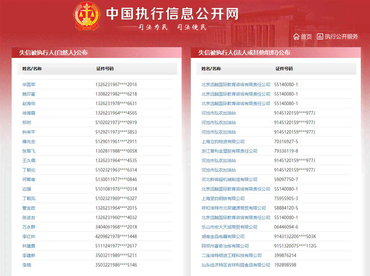 全面了解中国执行信息公开网的查询方式和实用指南