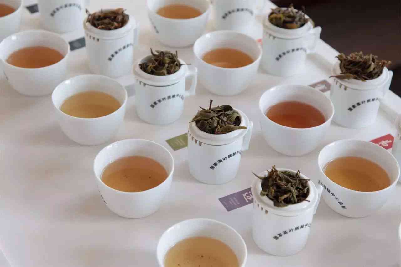 吾心禅境普洱茶2016限定款：品茗会，尽享禅意人生