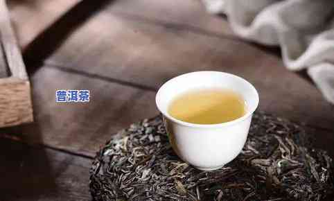 金典普洱茶：口感醇厚，价格实，一斤只需多少？好喝吗？