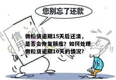 微粒贷逾期11天后全部还款，额度恢复情况如何？是否能全额恢复？