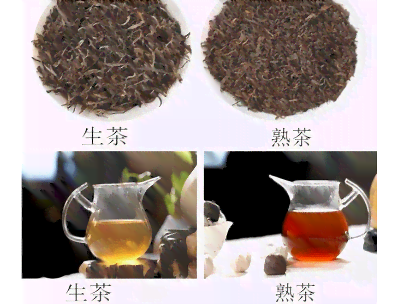 普洱茶生茶和熟茶口感区别：哪种更好？