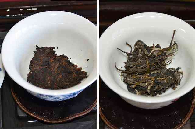 普洱茶生茶和熟茶口感区别：哪种更好？