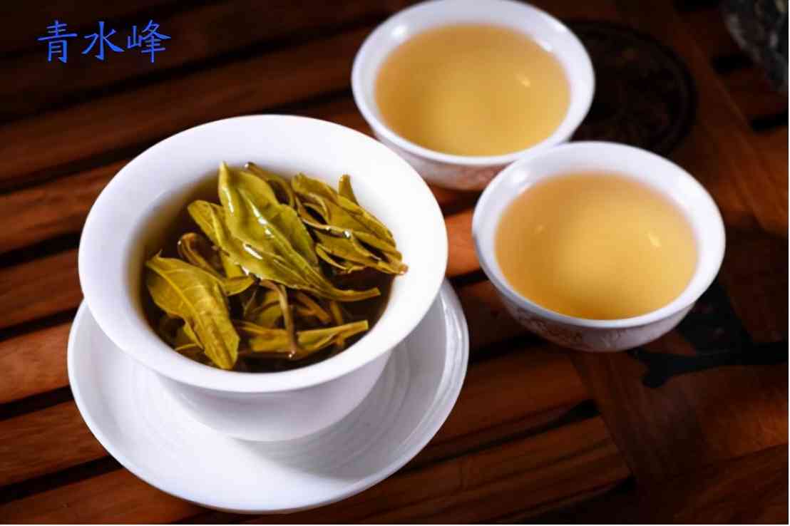 探索普洱茶的精髓：生茶与熟茶的独特口感对比