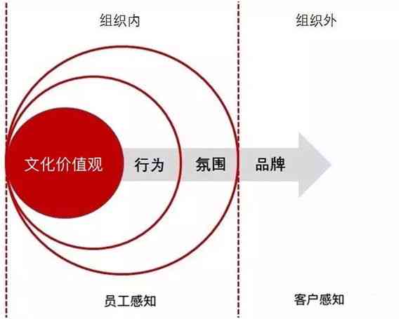 川白玉的魅力：稀缺性与文化价值探讨