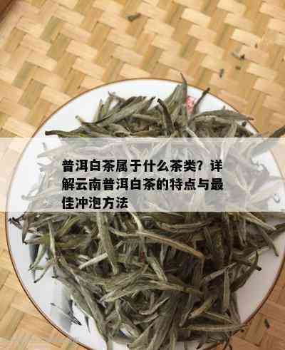 白茶与普洱茶：品种特点、功效、冲泡方法及品尝技巧全面解析