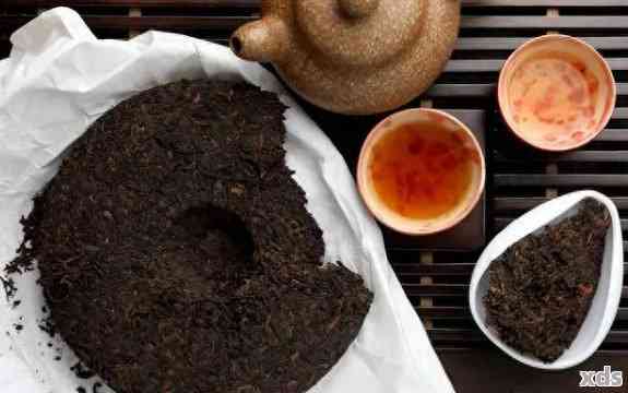 普洱茶私藏：生饼与熟饼的选择之谜