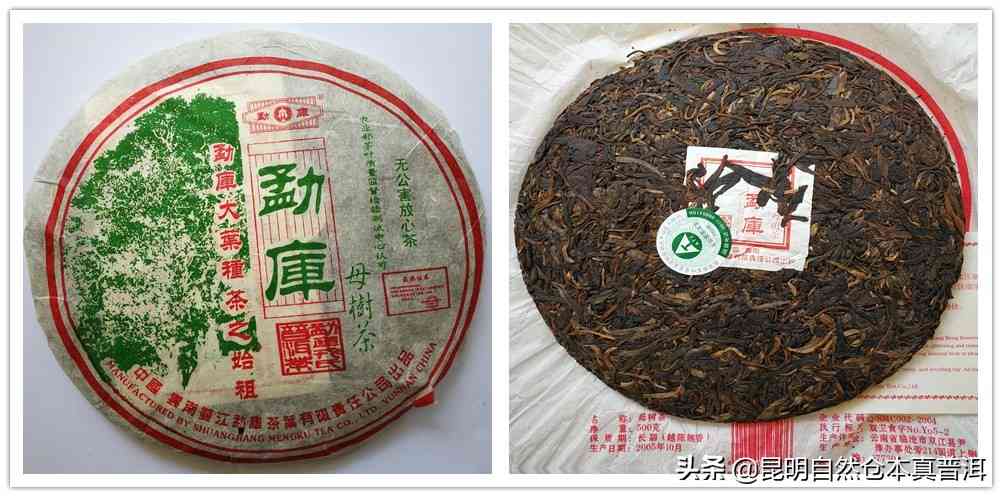 二类古树薄荷糖普洱茶