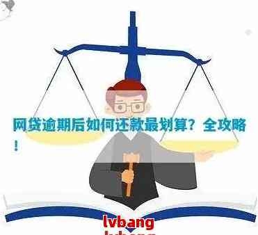 欠借呗只能还一半，如何合理安排还款计划以避免逾期？