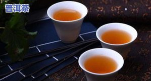 如何冲泡好一杯普洱茶：详解普洱茶的泡法步骤和五大技巧