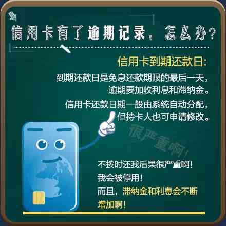 信用卡逾期还款免息政策详解：是否真实、具体如何操作以及可能面临的后果