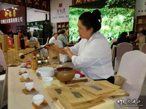 兰州西固区直播带货专场：探索普洱茶魅力，第四届普洱茶博览会精彩回顾