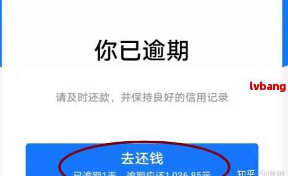 逾期一天后还清借呗款项，当天是否可以再次使用支付宝的借呗功能？