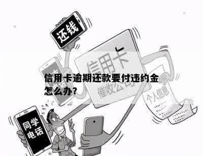 诚学信付逾期违约了会怎么样