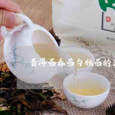 普洱茶春茶与秋茶的差异及其营养价值的全方位解析