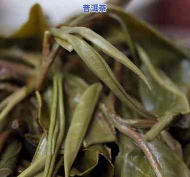 好的普洱茶为什么会甜