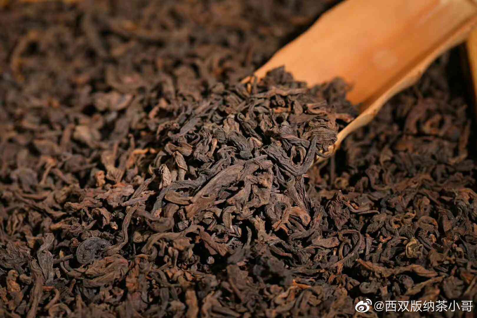 有樟香味的熟普洱茶吗