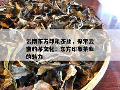 云南东方印象茶业：从茶叶种植到品质保证的全方位解答