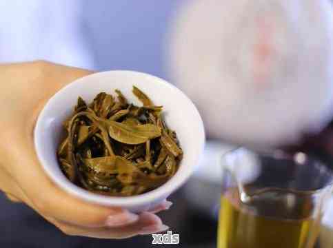 糯米香叶与普洱茶配比多少合适