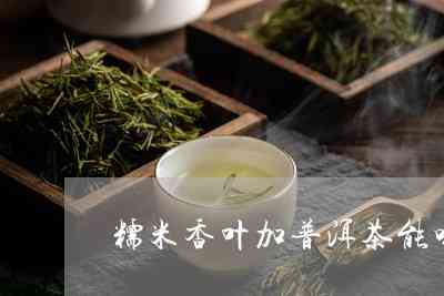 糯米香叶与普洱茶配比多少合适