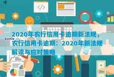 2020年农行信用卡逾期新法规：全面解读信用用卡风险与应对策略