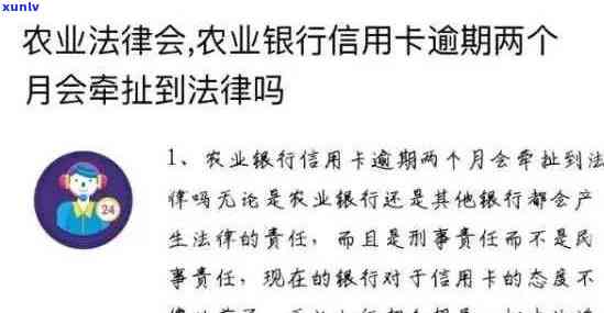 2020年农行信用卡逾期新法规：全面解读信用用卡风险与应对策略