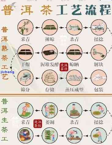 普洱茶的转化过程：从发酵到陈化，探讨其各个阶的特点与影响因素