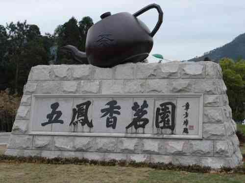 五凤茶：茶香四溢的艺术殿堂