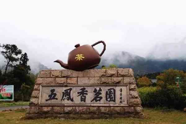 五凤茶乡名品展示：五凤茶、五凤茶园、五凤茶山，品味五凤香茗茶