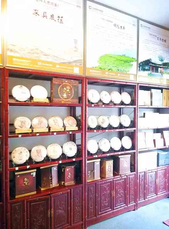 五凤九鵻普洱茶体验店