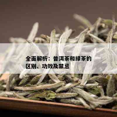 白普洱茶的功效与作用及副作用