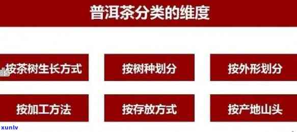 京东拍卖资产处置普洱茶：真实性、质量与保障全方位解析