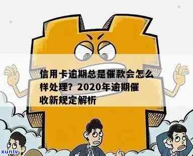 信用卡逾期后如何处理：申请贷款还是等待？