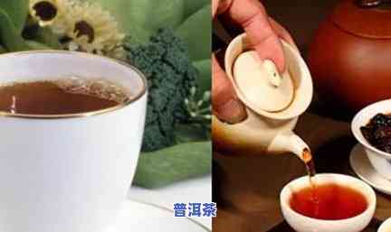 普洱茶能加蜂蜜吗？为什么？可以一起喝吗？