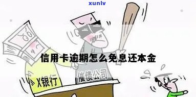 信用卡逾期减息怎么办