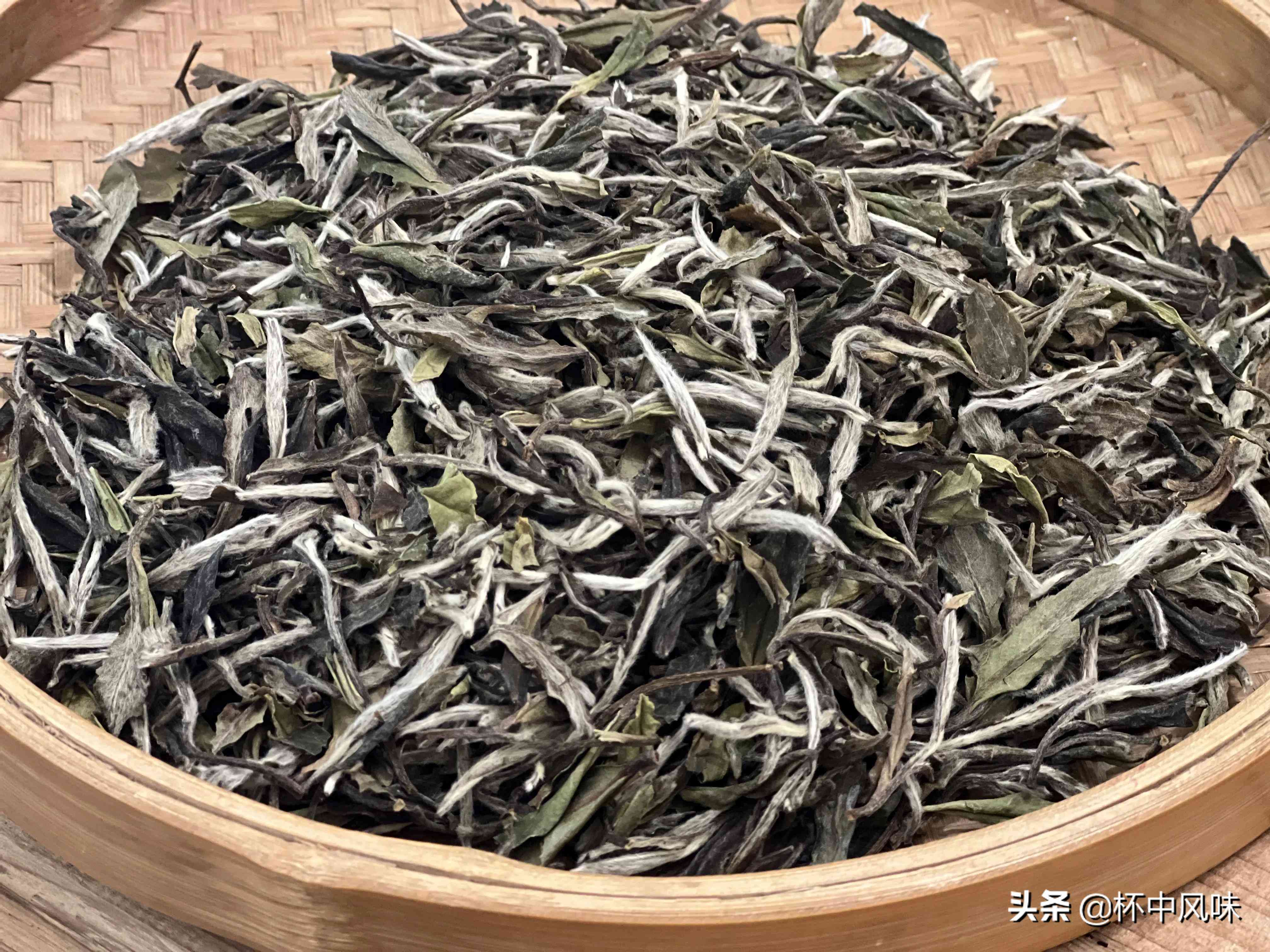 '生普洱茶放多久会转变成熟普：探索普洱茶的陈化过程'