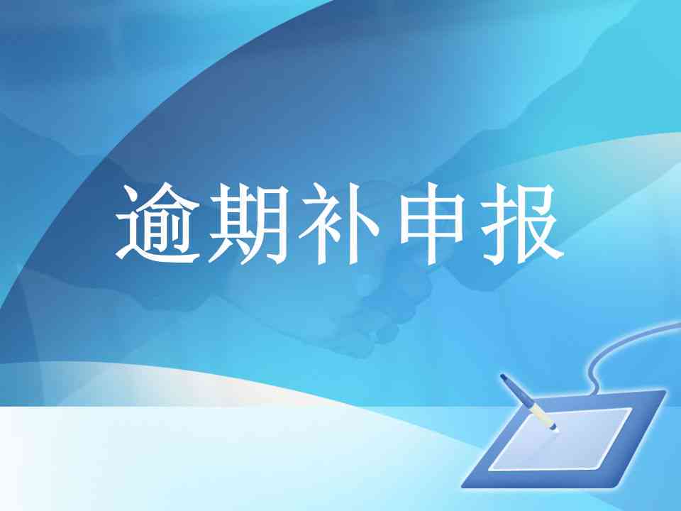 逾期申报更正指南：如何解决常见问题并避免罚款