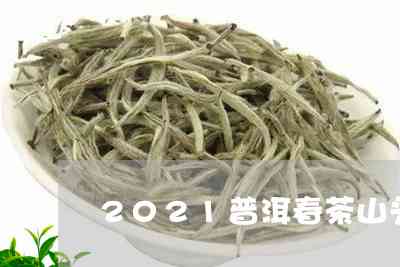 2021年头春名山普洱茶价格