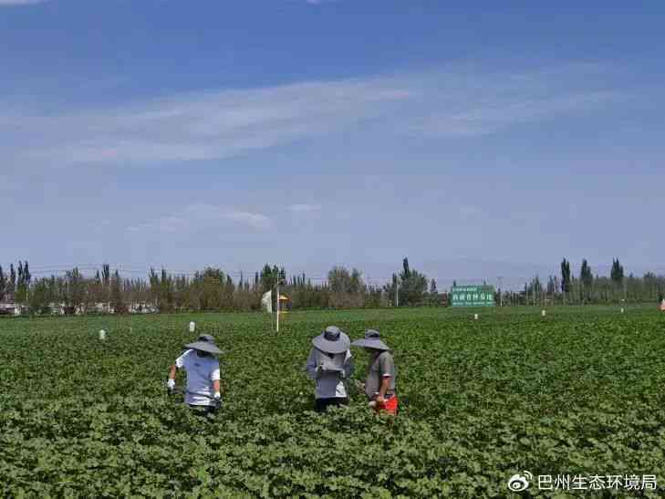 莎车县叶尔羌生物科技：从生物科技到生态环保，全面满足您的需求