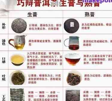 全面了解弯普洱茶：品种特点、冲泡方法与品鉴技巧，让喝茶成为生活艺术