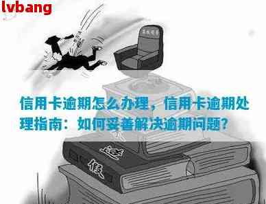 小额信用卡逾期问题解决指南：怎么办，怎么处理？