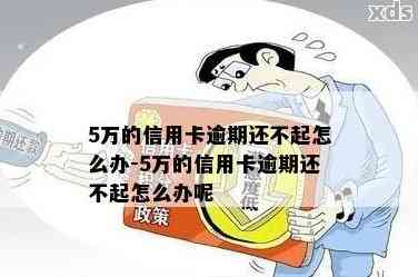 信用卡逾期一天的后果：5万元额度可能产生多少费用？如何避免逾期问题？