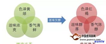 普洱茶中的药用成分及其对健的影响是什么？