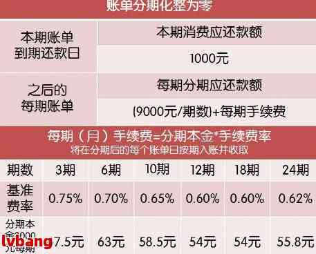 未按时偿还信用卡账单的影响及避免方法