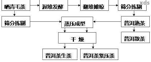 探讨普洱茶手工制作的多元化理念与工艺种类