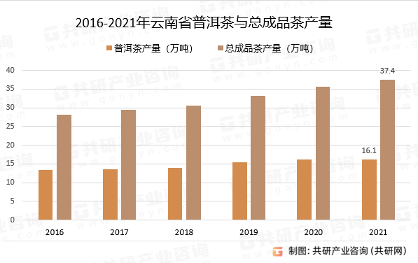 2023年云南普洱茶品质分析：口感、香气、外观等方面的综合评价