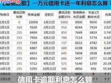 信用卡逾期还款明细查询：如何准确计算本金总额及解决逾期问题