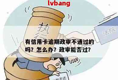 逾期与政审被拒：如何应对信用危机并提升个人资格？